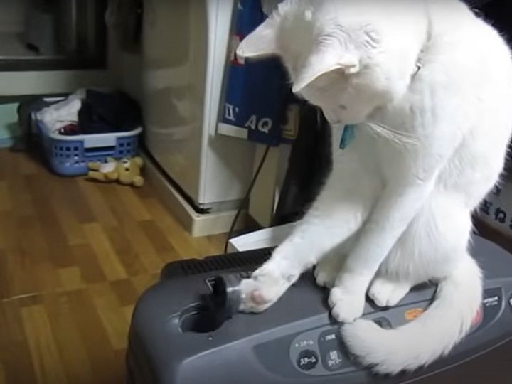 両者譲らぬ戦いに……！