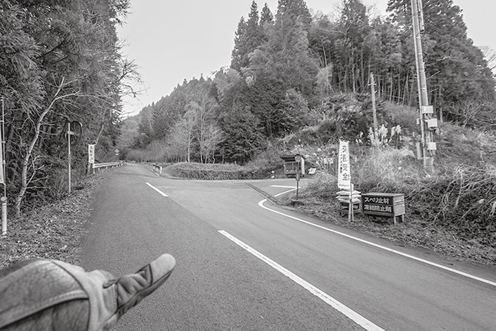 冬に明るい雰囲気の落葉林を抜けるダート｜一度は走りたい全国林道ツーリング②茨城県