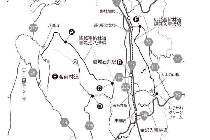 冬に明るい雰囲気の落葉林を抜けるダート｜一度は走りたい全国林道ツーリング②茨城県