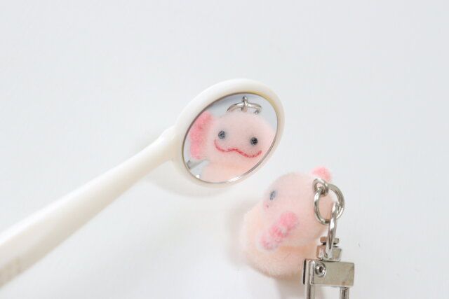 セリア くもり難い！歯の裏チェック口腔内ミラー 映り