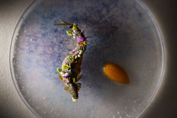 シェフとゲストが共にコースを創り上げる唯一無二の美食体験