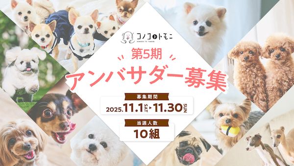 ドッグフードブランド・コノコトトモニが第5期公式アンバサダーをInstagramで募集中