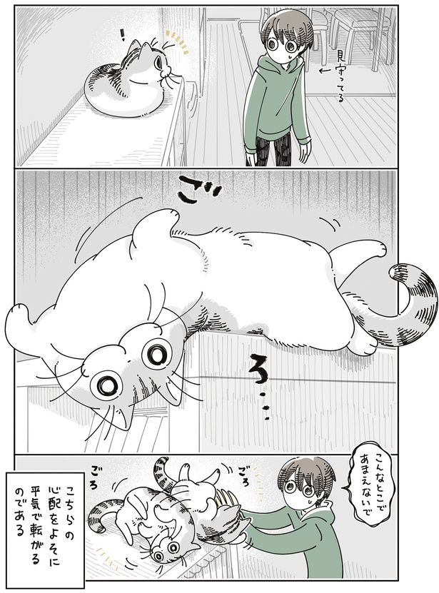 こんなとこであまえないで （C）キュルZ／KADOKAWA