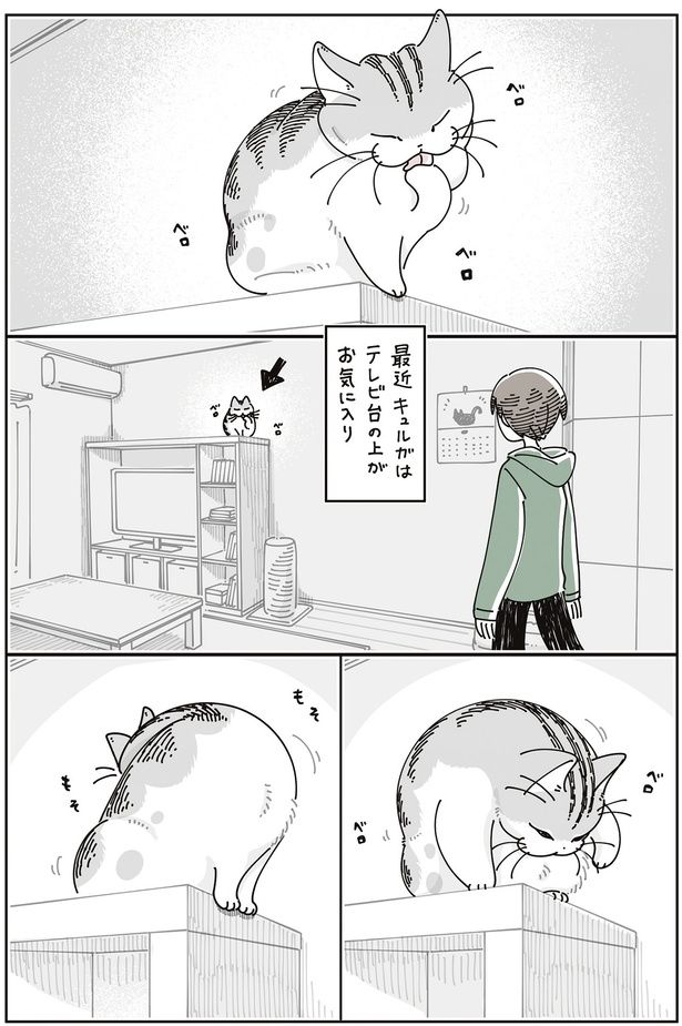 テレビ台の上がお気に入り （C）キュルZ／KADOKAWA