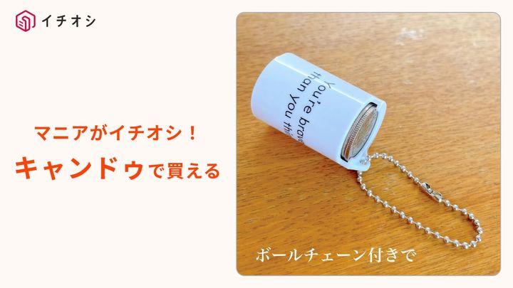 キャンドゥ┃100円専用のコインケース