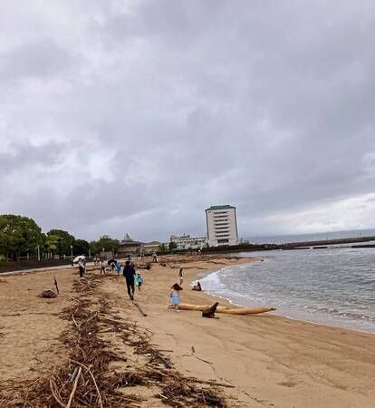 【大分県別府市】幼稚園生と小学1・2年生向け「ボーイスカウト体験会」開催！飯ごう体験＆凧作りに挑戦