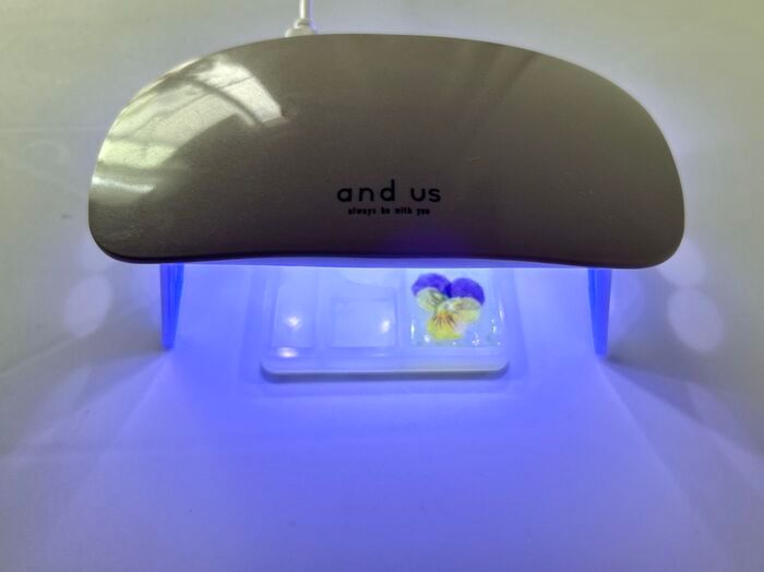 やってみたら感動♡秋の花がもっと可愛くなる