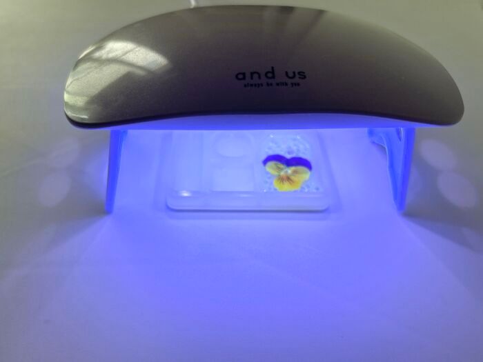 やってみたら感動♡秋の花がもっと可愛くなる