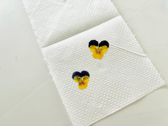 やってみたら感動♡秋の花がもっと可愛くなる