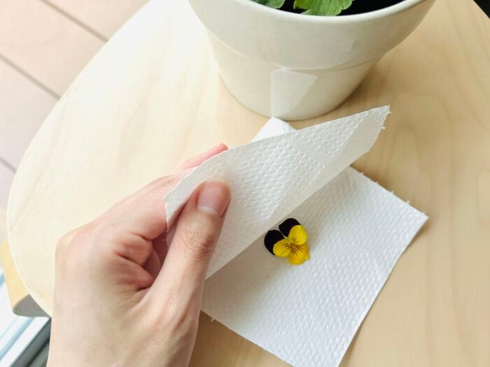 やってみたら感動♡秋の花がもっと可愛くなる