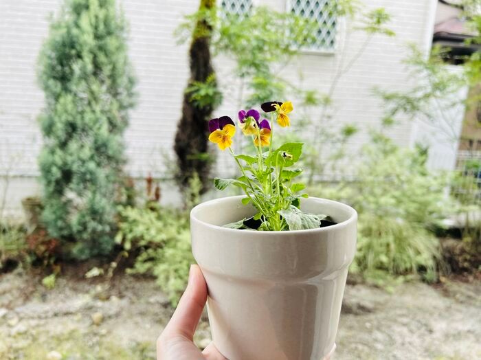 やってみたら感動♡秋の花がもっと可愛くなる