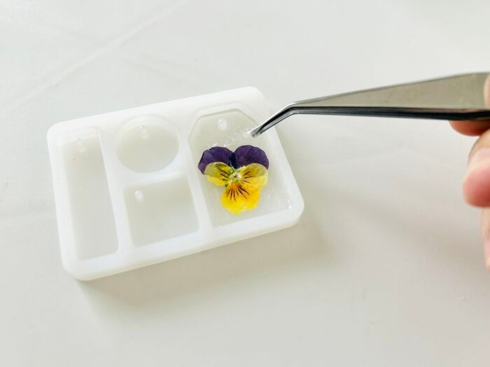 やってみたら感動♡秋の花がもっと可愛くなる