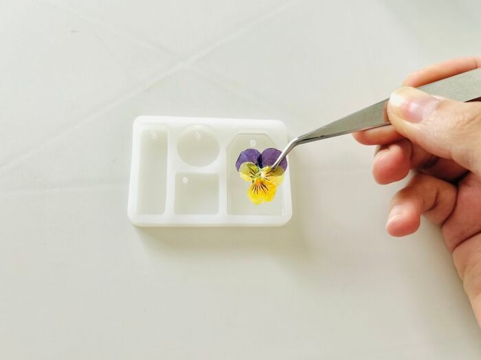 やってみたら感動♡秋の花がもっと可愛くなる