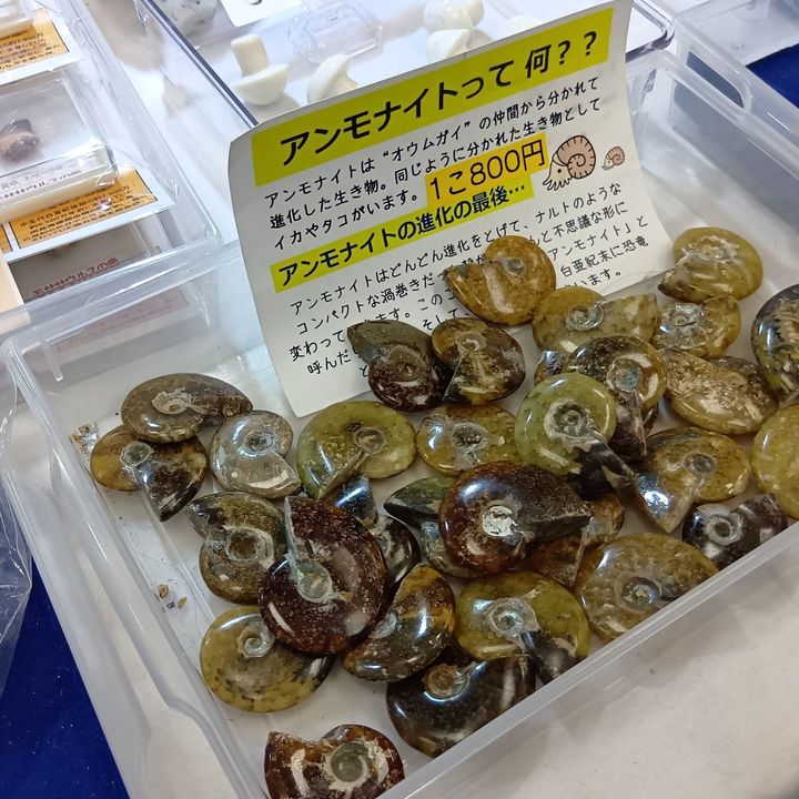 【アフター万博】天然石アクセサリーの世界も最高だった万博！万博振り返りつつ、ミネラルマルシェに参戦！