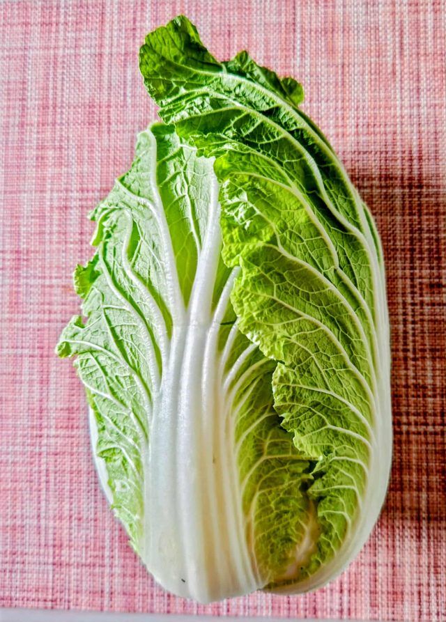 白菜
