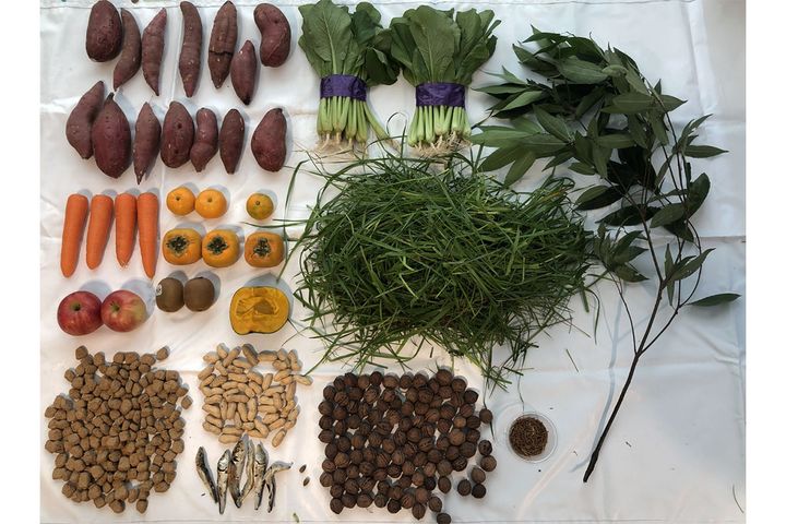 ＜2025年11月10日の記録＞クマが冬眠に必要な（約1万2000キロカロリー）分の“エサ内訳”／上野動物園の公式Xより引用