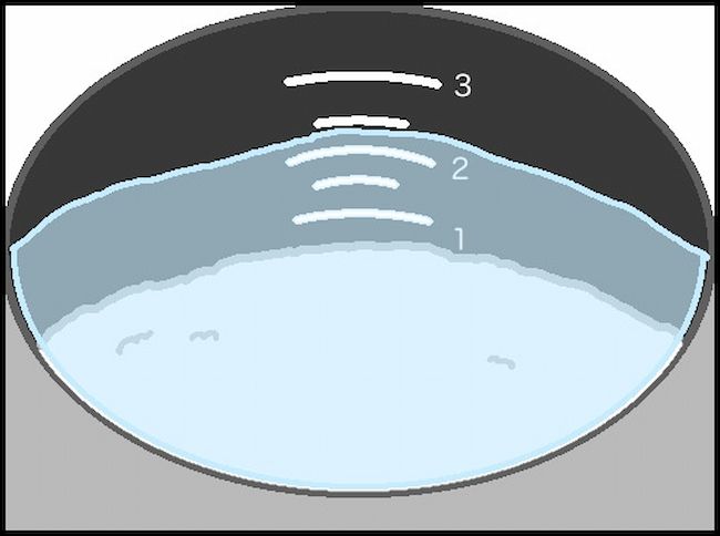 頑張り過ぎない介護／まる子