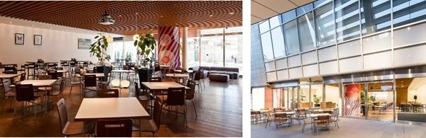 【東京都港区】テキーラ「ドン・フリオ」の世界観を体験する特別イベント開催！11月21日～3日間