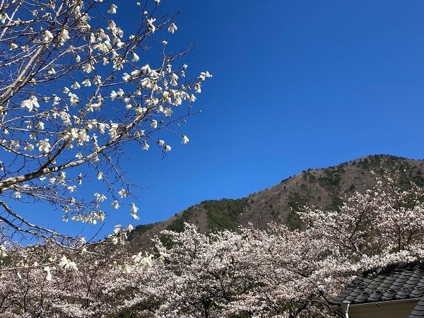 【長野県塩尻市】旅人と地域の人々がひとつの茶席に集う夜の茶会「夜咄灯話」、参加申込受付中