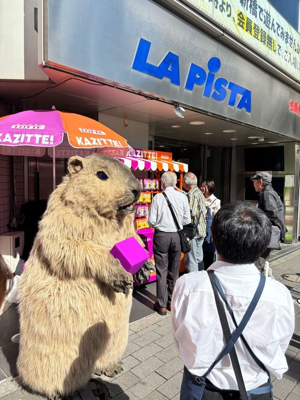 【写真】シンボルキャラクターの「カジる！マーモット」