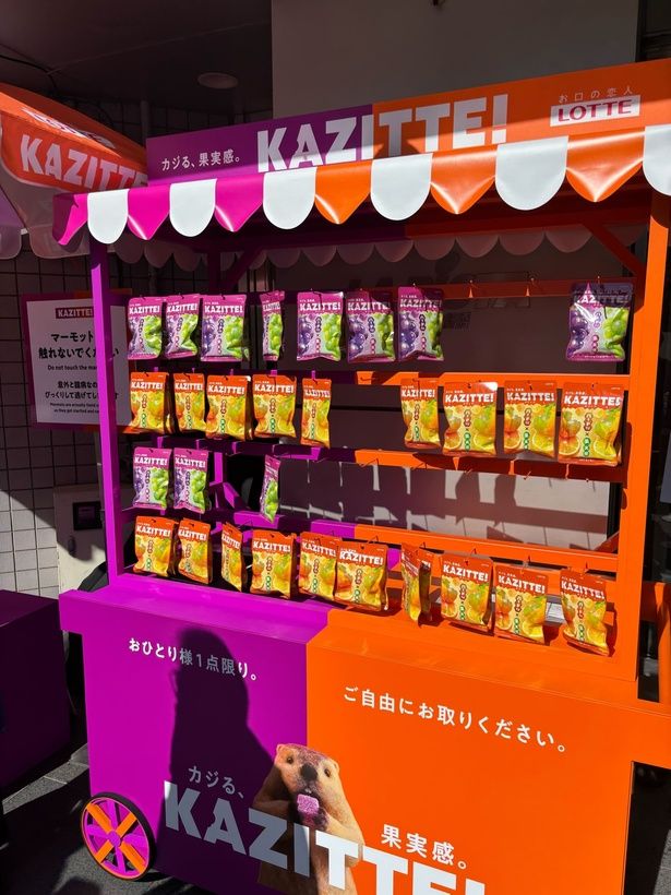 ロッテの新たなグミブランド「KAZITTE！」のサンプリングイベントに行ってみた！