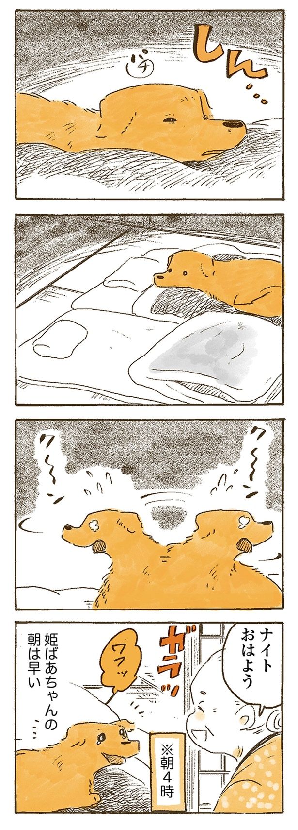 どこにいるの （C）佐倉イサミ／KADOKAWA