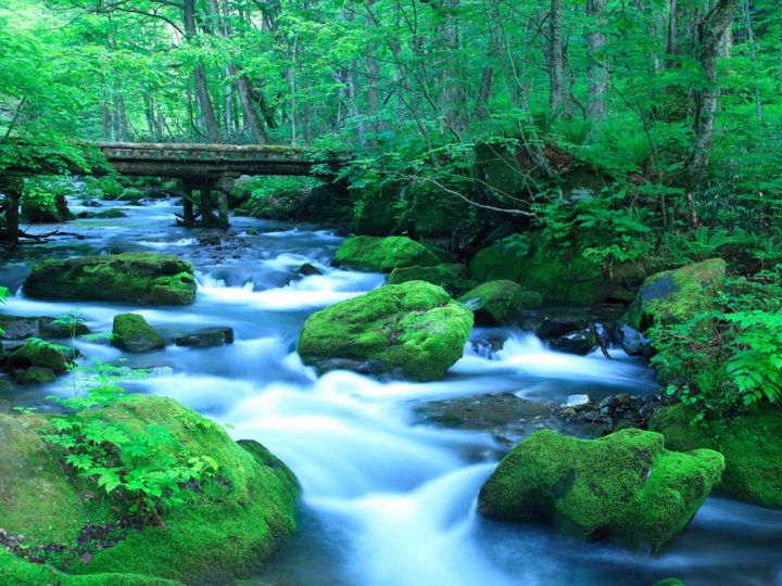 All About ニュース編集部が全国250人を対象に実施した子連れで行きたい道の駅に関するアンケートの調査結果から、子連れで行きたいと思う「青森県の道の駅」ランキングを発表！ 2位「奥入瀬」を抑えた1位は？