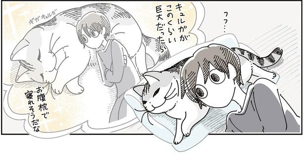 愛猫が巨大だったら （C）キュルZ／KADOKAWA