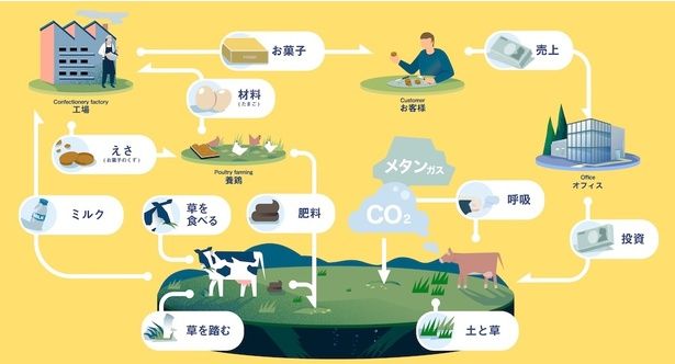 「リジェネラティブ・アグリカルチャー(環境再生型農業)」の考え方に基づき、放牧酪農や平飼い養鶏を実践している