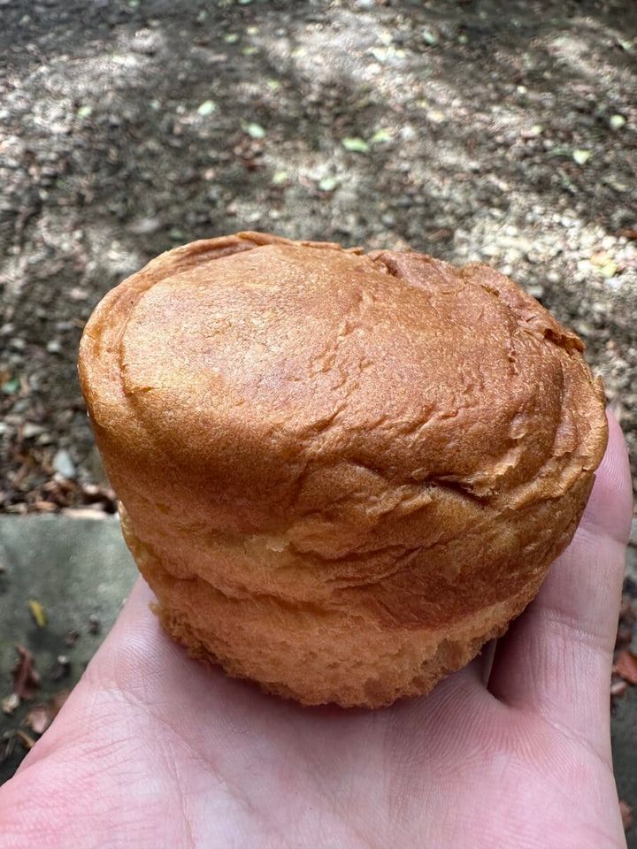 缶deボローニャ