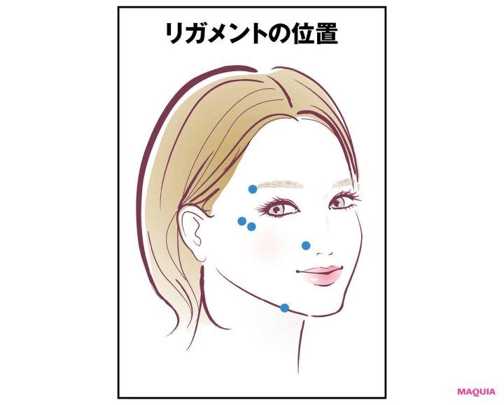 最新美容医療 ヒアルロン酸注入 リガメントの位置