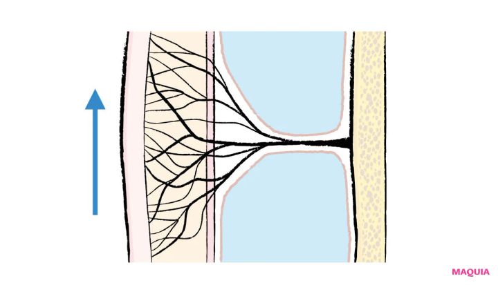 最新美容医療 ヒアルロン酸注入 リガメントを支えて補強する アフター