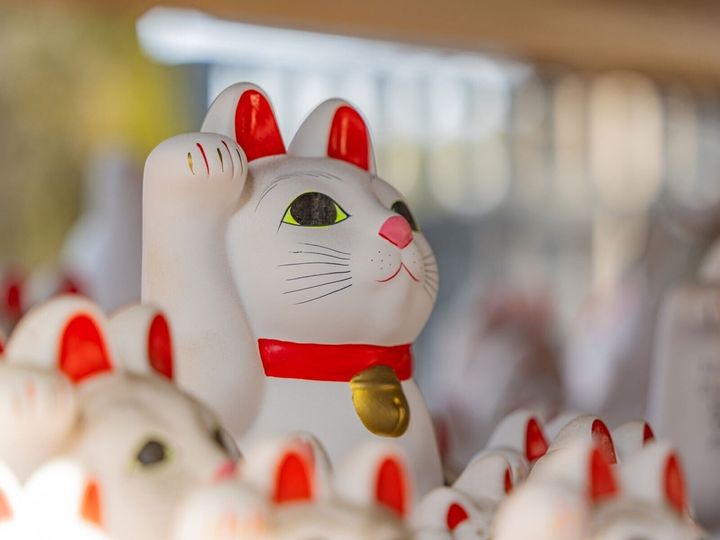 2025年11月20日は、2つの吉日と蠍座の新月が重なるスペシャル開運日！ 人生を好転させるために「やるといいこと」「やらない方がいいこと」をチェックし、運気アップにつなげましょう。この日の吉日や新月の特徴も併せて紹介します。（画像：PIXTA）