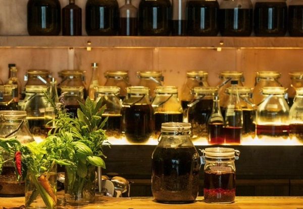 【東京都渋谷区】ポッドキャスト番組から誕生！薬酒・薬茶・薬膳カレーの店「喫茶 植物最高」が開業