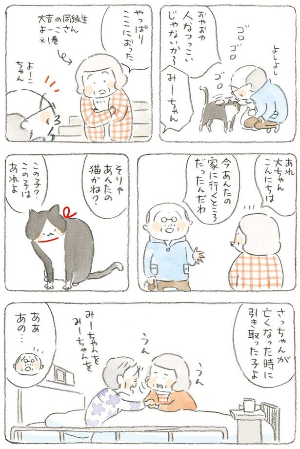 そりゃあんたの猫かね？ （C）ねこまき（ミューズワーク）／KADOKAWA