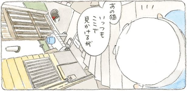 あの猫いっつもここで見かけるが （C）ねこまき（ミューズワーク）／KADOKAWA