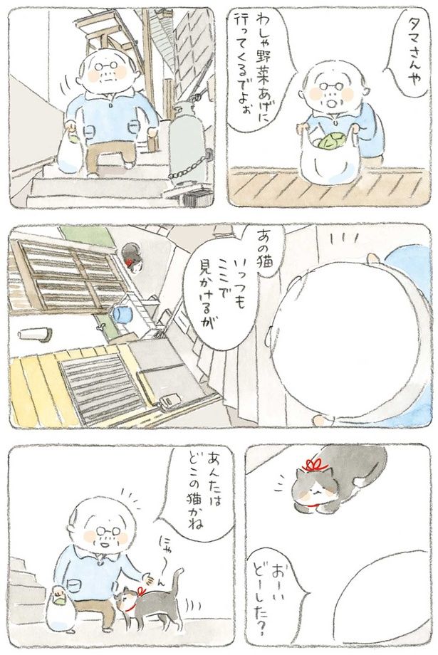あんたはどこの猫かね （C）ねこまき（ミューズワーク）／KADOKAWA