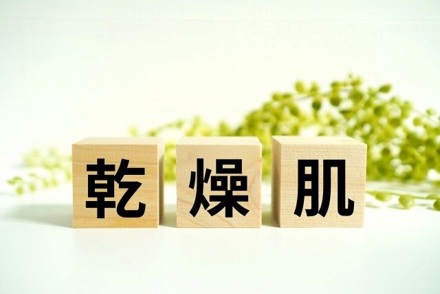 乾燥肌のオブジェ