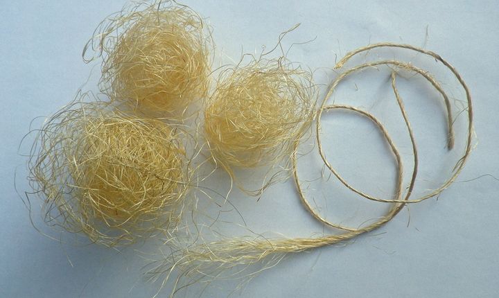 【キャンプで”火”を使いこなせ！】LIGHT MY FIRE「焚き火」