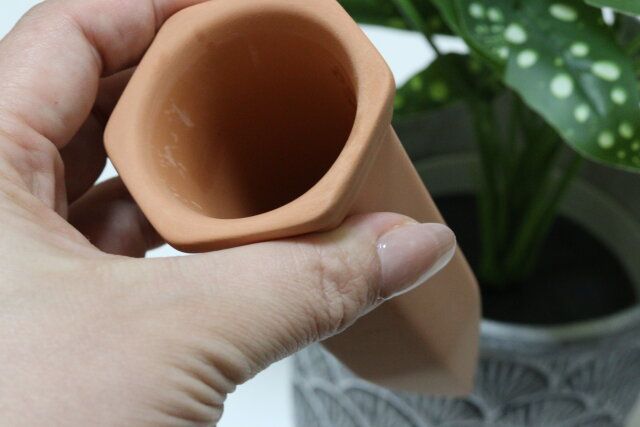 ダイソーの植物用ウォーターディスペンサーは植物の水やりに便利