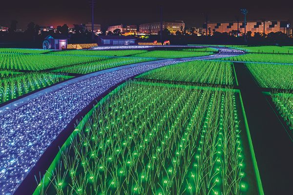 【東京都品川区】大井競馬場でXmas×アウトドアの野外イベント開催！都内最大級イルミと楽しむ