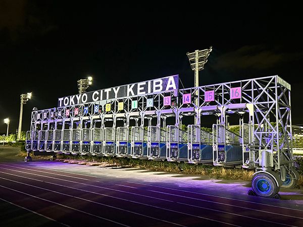 【東京都品川区】大井競馬場でXmas×アウトドアの野外イベント開催！都内最大級イルミと楽しむ