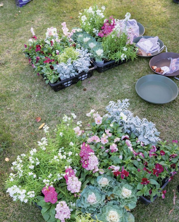 市からの予算で調達する苗や球根などのほかに、持ち帰ったタネや苗を自宅で育てて再びガーデンに植えることもあるそう。