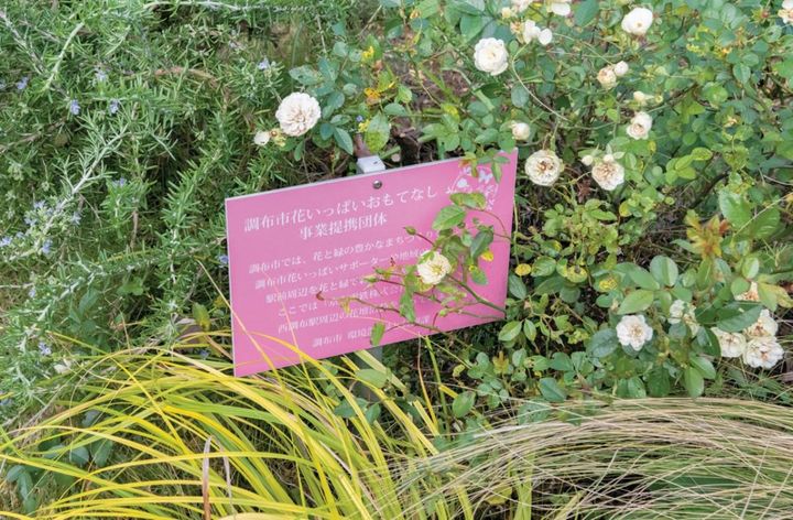 花壇の中をよく見ると、活動内容が記されたプレートが設置されている。