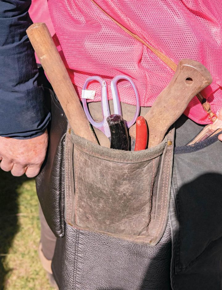 作業日は情報共有の場。使ってみてよかった植物や道具などを教え合うことも。