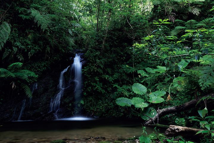 沖縄 名護の滝壺