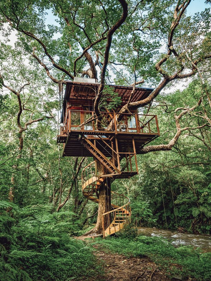 沖縄〈ツリーフルツリーハウスサステイナブルリゾート〉外観