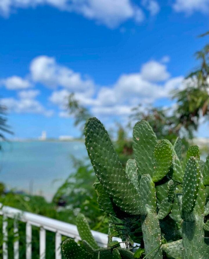 鈴木恵さんの沖縄旅行