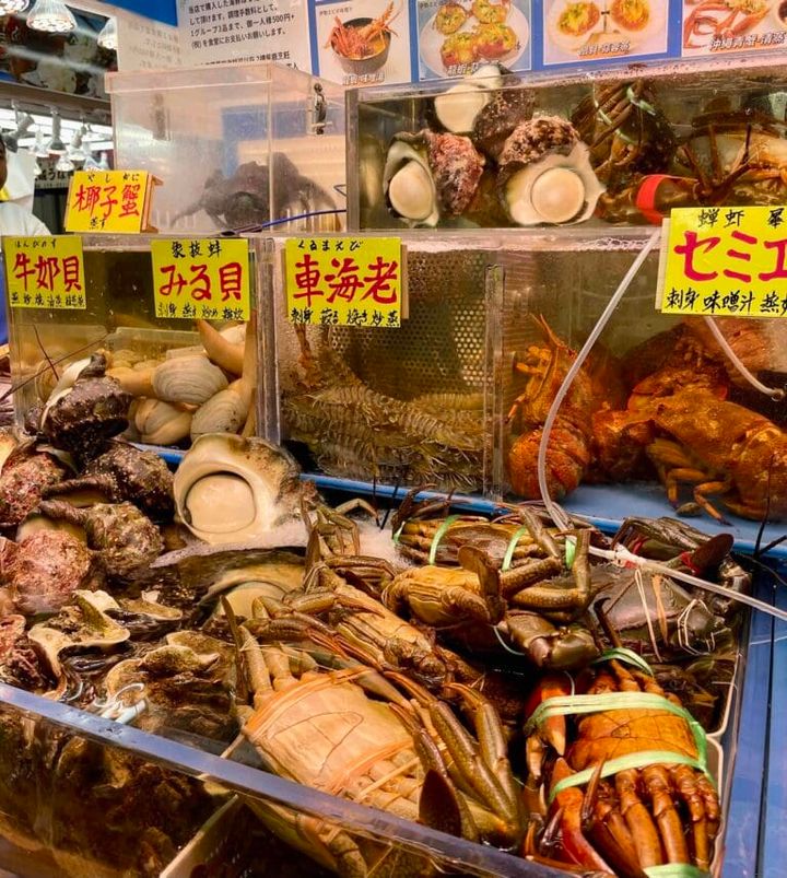 色とりどりの魚介類