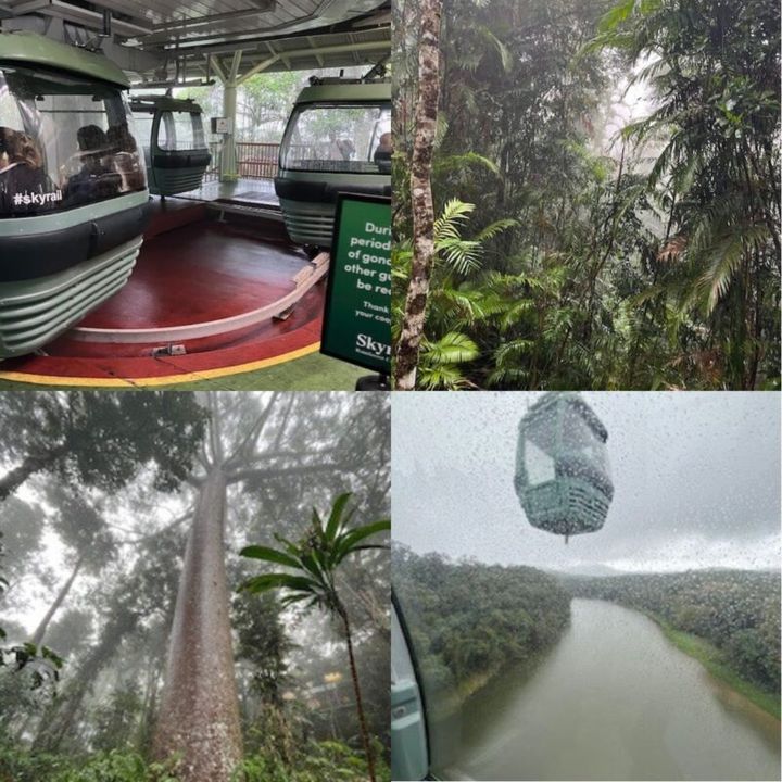 ケアンズ キュランダ スカイレール